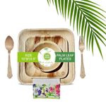 SMS HYDRROTECH Palm Leaf Areca Disposable Plates 10 Inch | 6 Inch Plate | Bowls 3.5 Inch | Spoons | Forks | Party Birthday Disposal Pieces, Biodegradable - Brown (500)