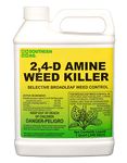 Herbicide For Pastures