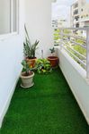 THE RUG STUDIO Artificial Grass Carpet 35 MM Pile. Grass for Balcony Grass Mat High Density for Garden Hotel Restaurant Terrace Balcony and Home Décor for Lawn Doormate Grass. (2 X 3 FT)