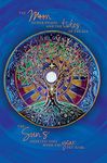 Tree-Free Greetings EcoNotes 12-Count Winter Solstice Card Set with Envelopes, 4-Inch by 6-Inch, Mandala (93480)