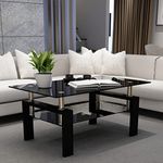 IANIYA Clear Glass Coffee Table Metal Tube (All-Black)