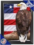 American Eagle 3D Poster Wall Art Decor Framed Print | 12x16 inches | Star Spangled Banner Pride Proud USA Patriot Flag Lenticular Posters & Pictures