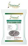 Srinivasa Agro Seeds Muyalmasal/Stylo Scabra Grass Seeds, 1 kg