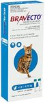 BRAVECTO CAT SPOT ON 250MG BLUE >2.8-6.25KG