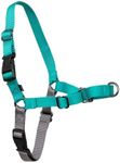 PetSafe Easy Walk Dog Harness, Teal