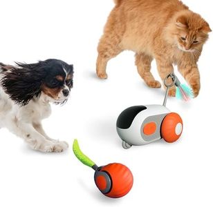 1pc Interactive Automatic Remote Control Cat Mice Car Toy and 1pc Smart Electric Moving Speedy Cat Ball Toy with Feather Tail, Suitable for Dogs, Keep Busy, Stimulating, Rechargeable (orange)