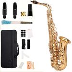 E Flat Alto Saxophone Full Kit Sax for Music Beginners with Carving, Mouthpiece, Carrying Case, Gloves, Cleaning Cloth Bar, Strap (Gold Color)