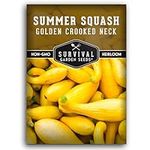 Crookneck Squash Seed for Planting 