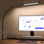 EYOCEAN Desk Lamp, LED Desk Lamp Desk Light with Flexible Gooseneck 12W Swing Arm Lamp Eye-Care Desk Light with Clamp Adjustable Color Temperature & Brightness Touch Sensitive Control Timing/Memory