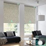 Yoolax Motorized Blinds, Blackout Smart Blinds with Remote Automatic Blinds for Windows, Electric Window Shades Compatible with Alexa Roller Shades with Valance (V-Caramel Gold)