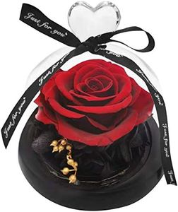 mirabile dictu Eternal Preserved Immortal Fresh Rose - Never Withered Rose - in Glass Dome and Heart Design Gift Presents for Mother's Day Anniversary Birthday Anyday for Celebrating(RedRose)