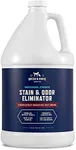 Professional Strength Stain & Odor 