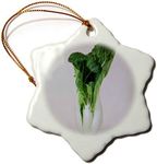 3dRose Snowflake Ornament - Bok Choy Chinese Cabbage Vegetable Produce Healthy Food Nutrition Diet - 3-inches (ORN_322737_1)