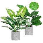 Dremisland 2pcs Artificial Palm Plants in Pot 16" Tall Faux Potted Plants with Gray Pot Fake Foliage Greenery Plants for Home Office Desk Coffee Shelf Table Bathroom Bedroom Aesthetic Décor