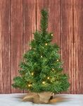 Osfvn Small Christmas Tree 2ft Prelit Battery Operated Timer Lighted Artificial Green Mini Xmas Pine Trees Decorations Tabletop Centerpiece Mantel Home Decor