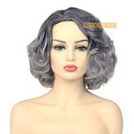 Rise World 15 38 cm Women's Long Curly Carve Full Hair Wig Two Tone Black Dark Root to Grey Ombre by Rise World Wig