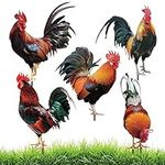Soaoo 5 Pcs Acrylic Rooster Yard Ch
