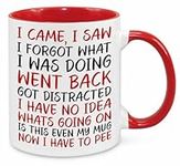 I Came I Saw I Forgot Mug - Birthday Christmas Funny Gift Present Novelty Unique Gift for Mum Dad Friend Sister Brother Grandparents Gift for Him Her Funny Quotes Coffee Mug (Red)