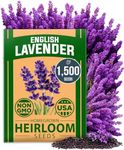 HOME GROWN Premium English Lavender Seeds, 1500 Non-GMO Herb Seeds, USA-Sourced Wildflower Seed for Planting Indoor/Outdoor, High Germination, Plant Flower Seeds