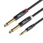 [6Feet] iXCC Gold Plated 3.5mm 1/8" TRS to Dual 6.35mm 1/4" TS Mono Y-Cable Splitter Cord for iPhone, iPod, Computer Sound Cards, CD Players, Multimedia Speakers and Home Stereo Systems