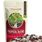 Tropical Bonsai Tree Soil Blend Two Quarts From Tinyroots. 100% Organic. For Ficus, Fukien Tea, Buttonwood, Dwarf Jade & other Tropical varieties. FRIT, Mineral Additives, Perfect For Healthy Bonsai G