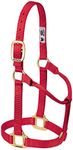 Weaver Leather Original Non-Adjustable Nylon Horse Halter, Large, Red