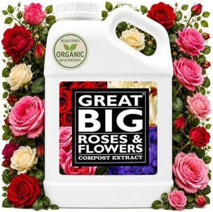 Great Big 
