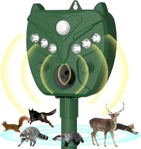 Solar Anim