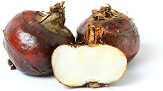 Water Chestnuts (Fresh) - 1 pound