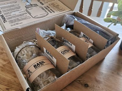Indoor Herb Garden Jar Kit – 3-Pack Grow Set