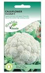 Kraido Cauliflower Seeds Snowball X Brassica Oleracea 250 Seeds Grow Your Own Vegetable Indoors in a Greenhouse or Outdoors in a Garden or in Large Pots and Containers