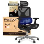 FLEXISPOT ErgoX Ergonomic Office Chair Executive Mesh Desk Chair Swivel WIth Height Adjustable Seat Headrest Armrest and Independent Lumbar Support Task Chair
