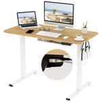 FLEXISPOT Electric Height Adjustable Standing Desk ONE PIECE Sit Stand Desk with Memory Smart Panel(100 * 60cm, White Frame+Maple Desktop)