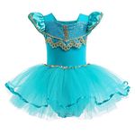 MYRISAM Jasmine Princess Leotards for Girls Ballet Dance Tutu Skirted Ballerina Dress Birthday Party Halloween Costumes 4-5T