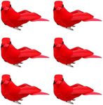 6PCS Christmas Cardinal Birds with 