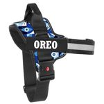 KIKA Pets Personalized Dog Harness | Dog Belt with Name | Customized Dog Vest Harness, Extra Small Size (for Dogs Below 5 kgs Dogs) Evil Eye Dog Harness
