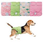 Teamoy 4 Pack Reusable Female Dog Diaper, Washable Doggie Diaper Nappies for Female Dogs, Super Absorbent Sanitary Wraps Panties (XL,Pink +Green +Cloud +Flamingo)