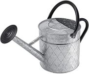 BLstyle 1.75 Gallon Outdoor Galvanized Metal Watering Can for Garden Plants, Vintage Zinc Watering Can with Removable Spray Spout, Ideal for Outdoor Use (Silver)