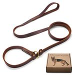 Wellbro Real Leather Slip Lead Dog Leash - Soft and Adjustable - Perfect for Training - 6ft Long, 0.7 Inch Wide