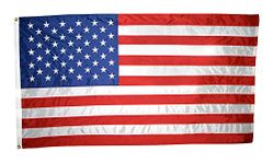 Annin Flagmakers American Flag All-Weather Nylon SolarGuard Nyl-Glo, 6 x 10 Feet (Model 2300)