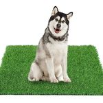 GLOBREEN Dogs Artificial Grass Pee Pad, 51.3" x 31.5" X-Large Dog Turf for Potty Training, Thick & High Drainage, Pets Fake Grass Patch Mat for Indoor Outdoor Use