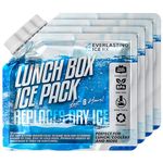 Everlasting Ice RX Reusable Ice Packs for Lunch Boxes (4 Pack) Up to 48 Hours Freezer Packs | 7.5 x 6.5 in | Long Last Cooler Ice Packs for Camping, Fishing, Beach, Road Trips