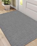 DEXI Door Mat Inside Entrance 32x48