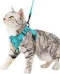 pangdi Cat Harness and Leash Set Escape Proof Tactical Extra Large Kitten Harness Emotional Support Cat Vest, Turquoise, XL