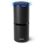 HOMPO Car Air Purifier Air Portable Air Ionizer Remove Dust for Home Reduce Odor and Allergies from Mold, Smoke, Dust, Pollen and Pet Dander Black