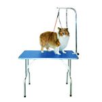 Gravitis Pet Supplies Professional Dog Grooming Table – A sturdy, portable folding table for grooming for small and medium pets