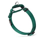 Hyhug Pets Traffic Nylon Escape-proof Martingale Dog Collar for Medium Boy and Girl Dogs (Medium, Dark Green)