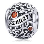 Lorrifal January 925 Sterling Silver Original Birthstone Charms fit Pandora Bracelets Necklace Perfect Jewelry Birthday Loved Beads Gift for Women Girls Mom Daughter