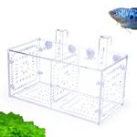 Fish Breeding Box,Granmagazz Fish Separation Breeder Box, Clear Acrylic Fish Isolation Box with Suction Cups and Hanging Hook for Baby Fishes Shrimp Clownfish and Guppy (30 * 15 * 15 CM)