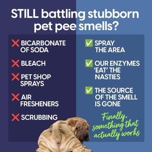 Pet Enzyme Stain & Odor Remover – Powerful Cleaner for Carpets & Floors